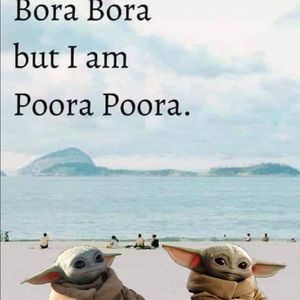 Meet your Posher, Barb